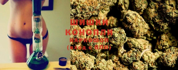 ПСИЛОЦИБИНОВЫЕ ГРИБЫ Балахна
