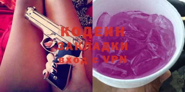 индика Баксан