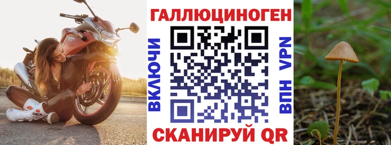 Псилоцибиновые грибы GOLDEN TEACHER Инза